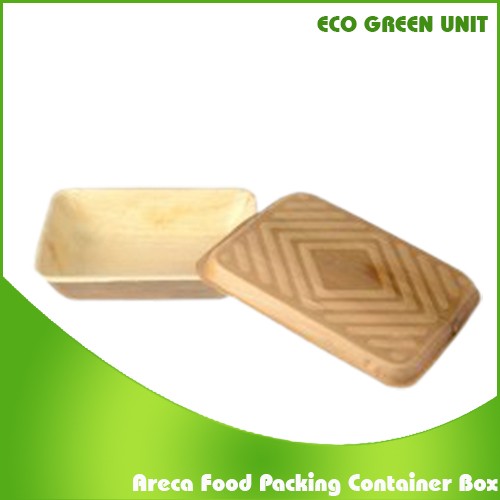 Areca Food Packing Container Box